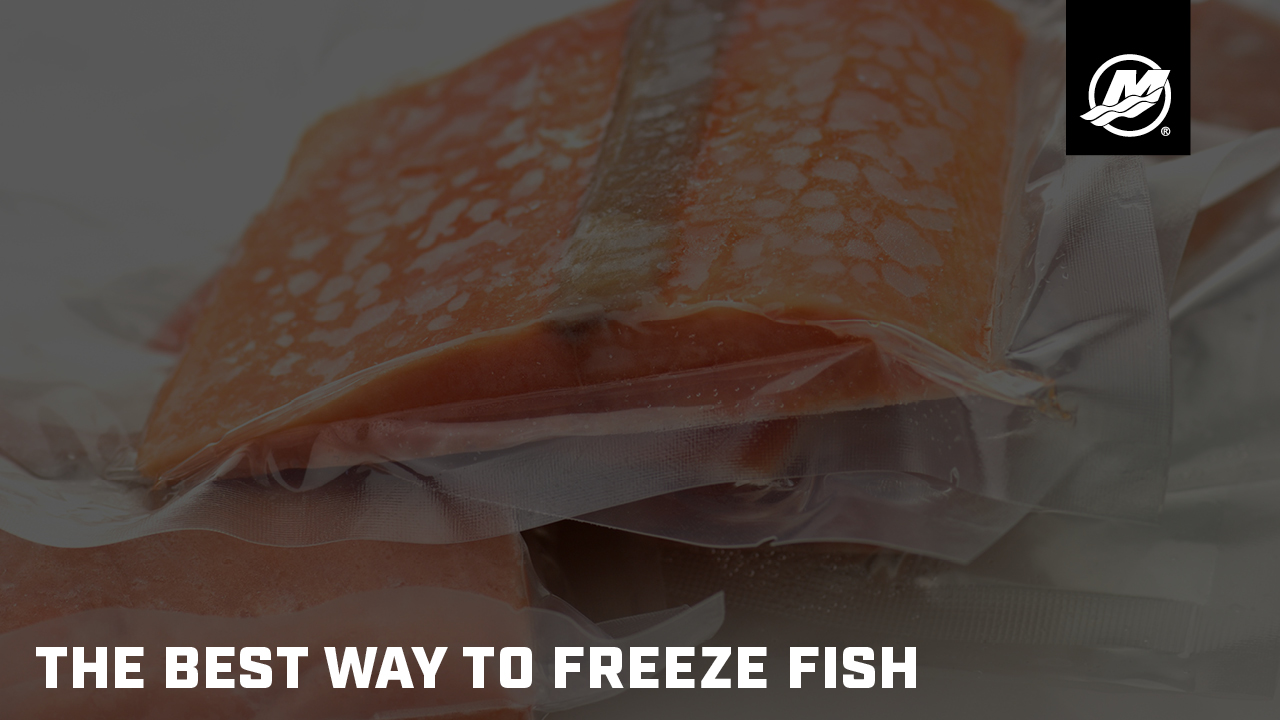 The Best Way to Freeze Fish